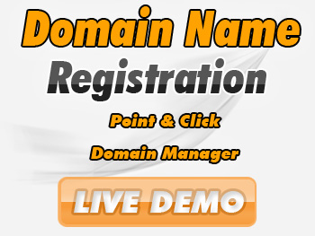 Cut-rate domain registration & transfer service providers